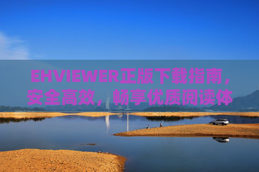 EHVIEWER正版下载指南，安全高效，畅享优质阅读体验，EHVIEWER正版下载指南，安全高效，畅享优质阅读