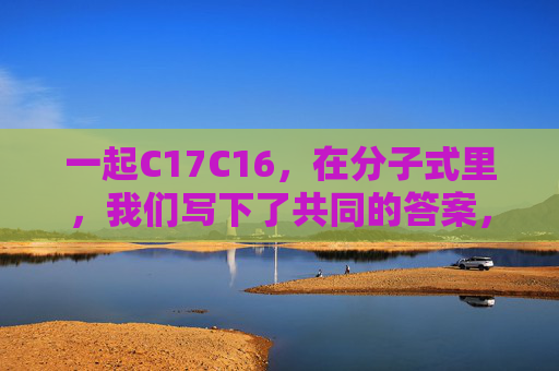 一起C17C16，在分子式里，我们写下了共同的答案，C17C16，分子式里的共同答案