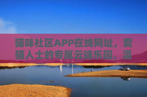 猫咪社区APP在线网址，爱猫人士的专属云端乐园，温暖互动触手可及，爱猫人士的云端猫咪乐园，温暖互动触手可及