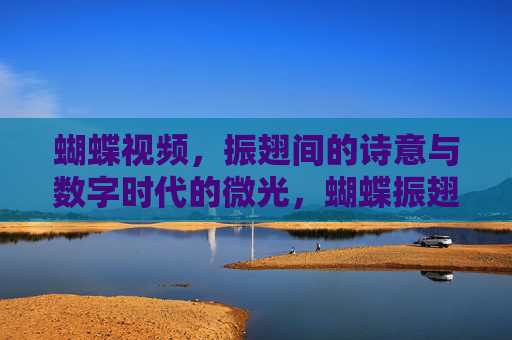 蝴蝶视频，振翅间的诗意与数字时代的微光，蝴蝶振翅，数字时代的诗意微光