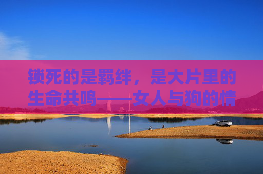 锁死的是羁绊，是大片里的生命共鸣——女人与狗的情感宇宙，羁绊与共鸣，女人与狗的情感宇宙