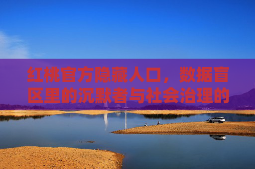 红桃官方隐藏人口，数据盲区里的沉默者与社会治理的隐痛，红桃官方隐藏人口，数据盲区里的沉默者与社会治理隐痛