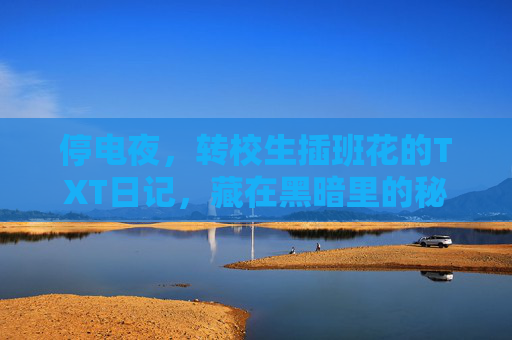 停电夜，转校生插班花的TXT日记，藏在黑暗里的秘密，停电夜，转校生插班花的秘密TXT日记