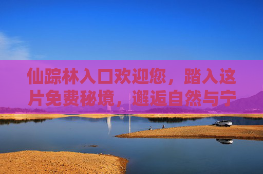仙踪林入口欢迎您,踏入这片免费秘境,邂逅自然与宁静,仙踪林免费秘境,邂逅自然与宁静 仙踪林入口欢迎您,踏入这片免费秘境,邂逅自然与宁静,仙踪林免费秘境,邂逅自然与宁静