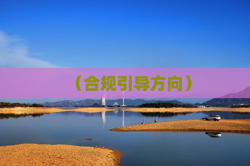 （合规引导方向）