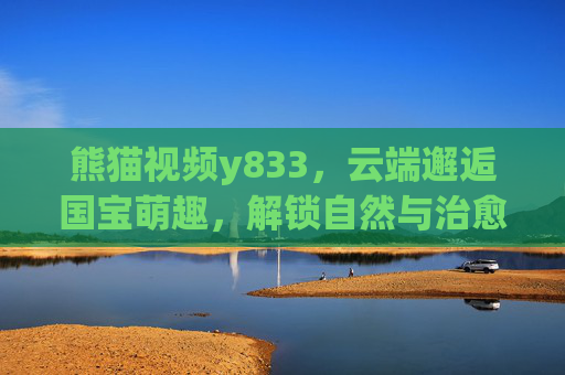 熊猫视频y833，云端邂逅国宝萌趣，解锁自然与治愈的双重密码，云端邂逅国宝萌趣，解锁自然与治愈的双重密码