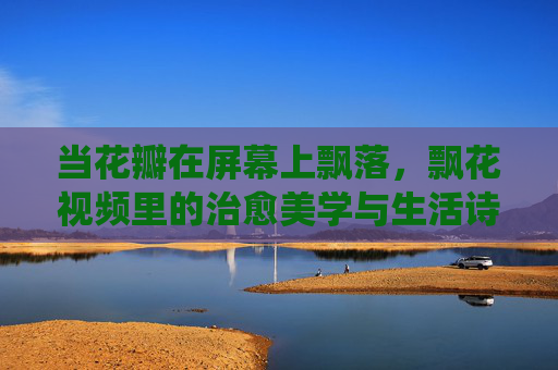 当花瓣在屏幕上飘落，飘花视频里的治愈美学与生活诗意，花瓣飘落，治愈美学的诗意栖居