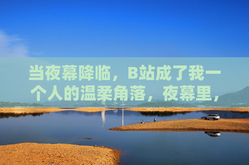 当夜幕降临,B站成了我一个人的温柔角落,夜幕里,B站是温柔的角落 当夜幕降临,B站成了我一个人的温柔角落,夜幕里,B站是温柔的角落