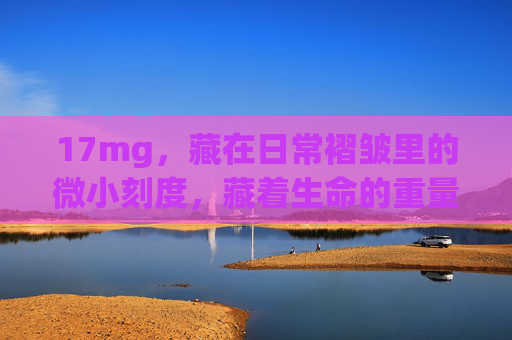 17mg，藏在日常褶皱里的微小刻度，藏着生命的重量，17mg，日常褶皱里的生命刻度