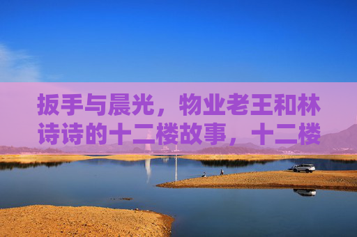 扳手与晨光,物业老王和林诗诗的十二楼故事,十二楼的扳手晨光,老王与林诗诗 扳手与晨光,物业老王和林诗诗的十二楼故事,十二楼的扳手晨光,老王与林诗诗