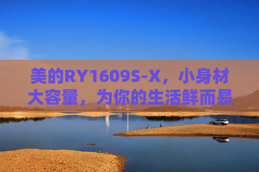美的RY1609S-X，小身材大容量，为你的生活鲜而易见，美的RY1609S-X，小身材大容量，鲜而易见