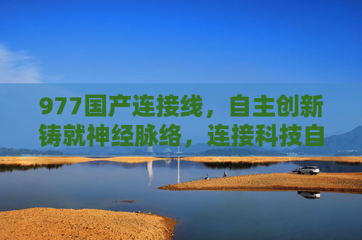 977国产连接线，自主创新铸就神经脉络，连接科技自立自强新未来，977国产连接线，自主创新铸就科技自立自强新脉络