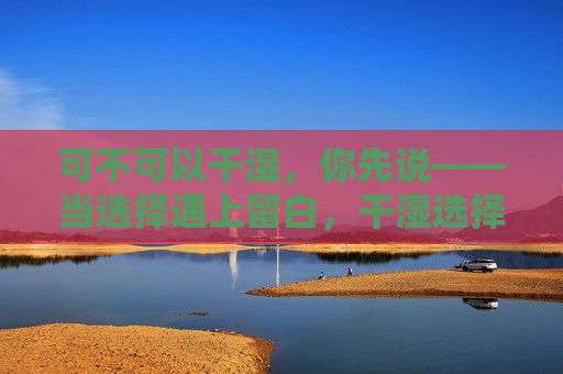 可不可以干湿,你先说——当选择遇上留白,干湿选择,遇留白 可不可以干湿,你先说——当选择遇上留白,干湿选择,遇留白