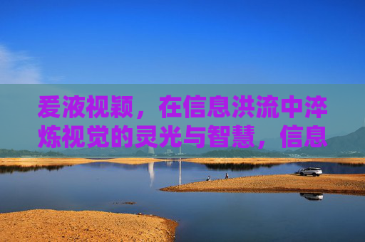 爰液视颖，在信息洪流中淬炼视觉的灵光与智慧，信息洪流中淬炼视觉的灵光与智慧