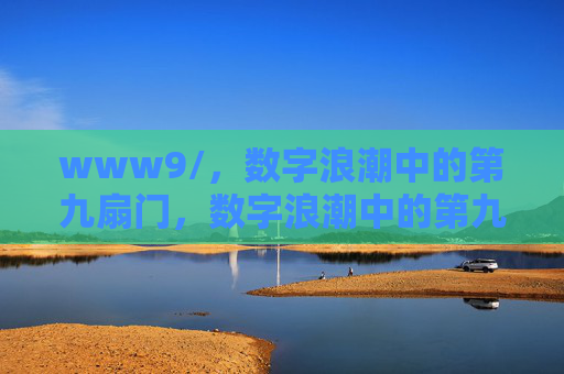 www9/，数字浪潮中的第九扇门，数字浪潮中的第九扇门