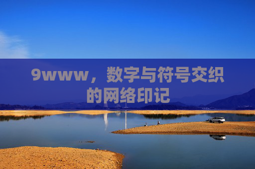9www,数字与符号交织的网络印记 9www,数字与符号交织的网络印记