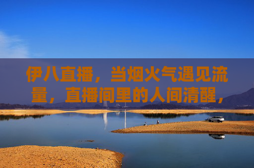 伊八直播,当烟火气遇见流量,直播间里的人间清醒,烟火气遇见流量,伊八直播的人间清醒 伊八直播,当烟火气遇见流量,直播间里的人间清醒,烟火气遇见流量,伊八直播的人间清醒