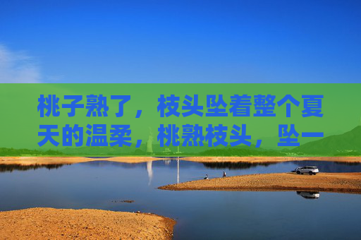 桃子熟了，枝头坠着整个夏天的温柔，桃熟枝头，坠一夏温柔