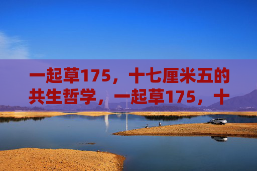 一起草175，十七厘米五的共生哲学，一起草175，十七厘米五的共生哲学