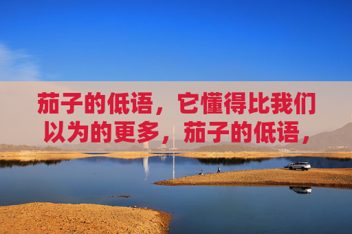 茄子的低语,它懂得比我们以为的更多,茄子的低语,它懂得的比我们以为的更多 茄子的低语,它懂得比我们以为的更多,茄子的低语,它懂得的比我们以为的更多