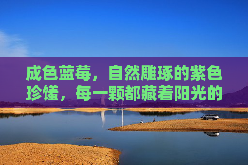 成色蓝莓,自然雕琢的紫色珍馐,每一颗都藏着阳光的密码,自然雕琢的紫色珍馐,成色蓝莓的阳光密码 成色蓝莓,自然雕琢的紫色珍馐,每一颗都藏着阳光的密码,自然雕琢的紫色珍馐,成色蓝莓的阳光密码