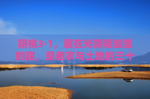 阴桃3·1,藏在光阴褶皱里的甜,是老农与土地的三十年密语,光阴褶皱里的甜,老农与土地的三十年阴桃密语 阴桃3·1,藏在光阴褶皱里的甜,是老农与土地的三十年密语,光阴褶皱里的甜,老农与土地的三十年阴桃密语
