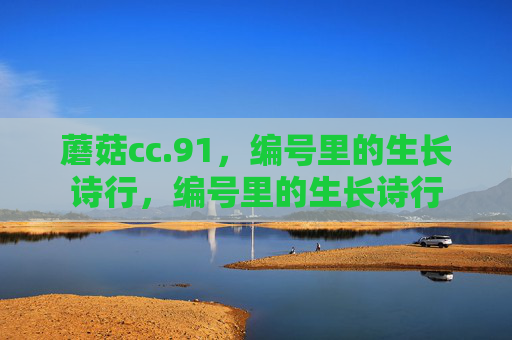 蘑菇cc.91，编号里的生长诗行，编号里的生长诗行