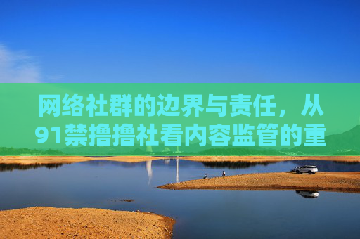 网络社群的边界与责任,从91禁撸撸社看内容监管的重要性 网络社群的边界与责任,从91禁撸撸社看内容监管的重要性