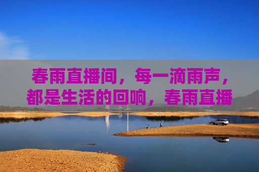 春雨直播间，每一滴雨声，都是生活的回响，春雨直播间，雨声里的生活回响