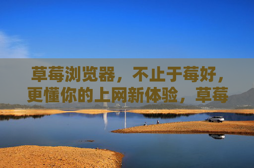 草莓浏览器，不止于莓好，更懂你的上网新体验，草莓浏览器，不止莓好，更懂你的新体验