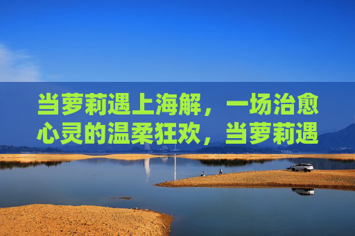 当萝莉遇上海解，一场治愈心灵的温柔狂欢，当萝莉遇上海解，治愈心灵的温柔狂欢