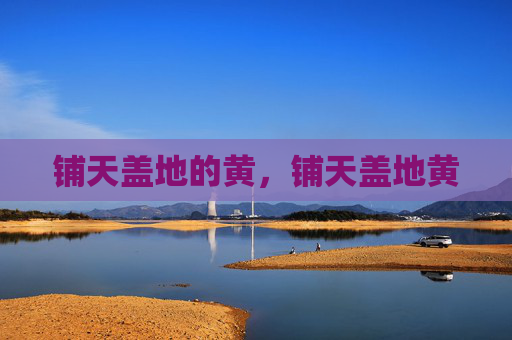 铺天盖地的黄,铺天盖地黄 铺天盖地的黄,铺天盖地黄