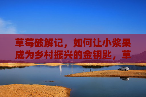 草莓破解记,如何让小浆果成为乡村振兴的金钥匙,草莓破局,小浆果变身乡村振兴金钥匙 草莓破解记,如何让小浆果成为乡村振兴的金钥匙,草莓破局,小浆果变身乡村振兴金钥匙
