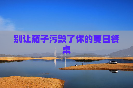 别让茄子污毁了你的夏日餐桌