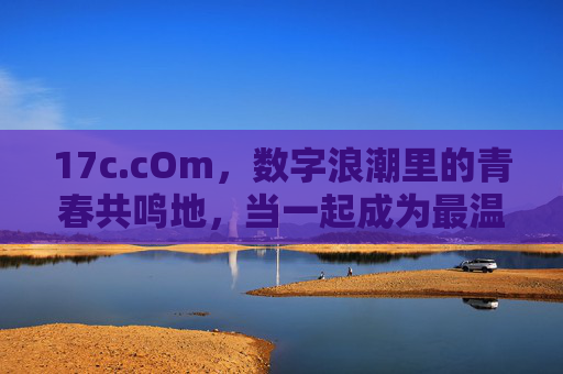 17c.cOm，数字浪潮里的青春共鸣地，当一起成为最温暖的代码，数字浪潮里的青春共鸣，一起成为温暖的代码