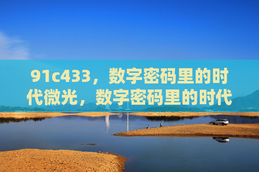 91c433，数字密码里的时代微光，数字密码里的时代微光