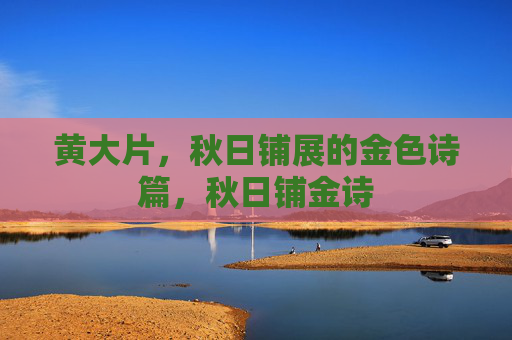 黄大片,秋日铺展的金色诗篇,秋日铺金诗 黄大片,秋日铺展的金色诗篇,秋日铺金诗