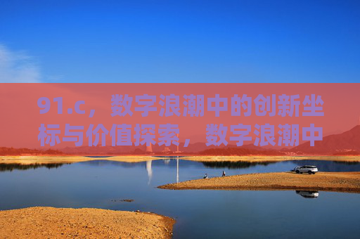 91.c,数字浪潮中的创新坐标与价值探索,数字浪潮中的创新坐标与价值探索 91.c,数字浪潮中的创新坐标与价值探索,数字浪潮中的创新坐标与价值探索