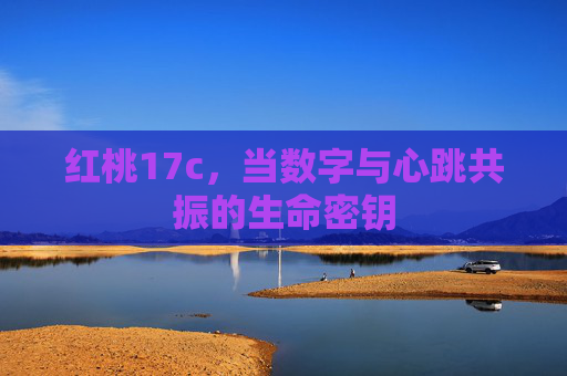 红桃17c,当数字与心跳共振的生命密钥 红桃17c,当数字与心跳共振的生命密钥