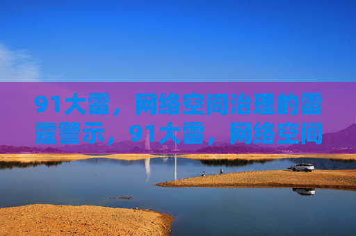 91大雷，网络空间治理的雷霆警示，91大雷，网络空间治理的雷霆警示