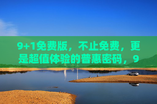 9+1免费版，不止免费，更是超值体验的普惠密码，9+1免费版，解锁普惠超值体验密码
