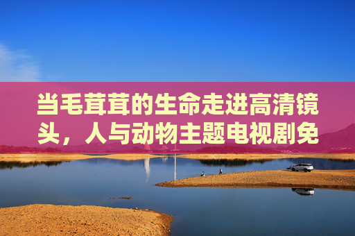当毛茸茸的生命走进高清镜头,人与动物主题电视剧免费观看指南,毛茸茸生命入高清,人与动物主题剧免费观看指南 当毛茸茸的生命走进高清镜头,人与动物主题电视剧免费观看指南,毛茸茸生命入高清,人与动物主题剧免费观看指南