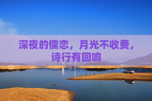 深夜的儒恋,月光不收费,诗行有回响 深夜的儒恋,月光不收费,诗行有回响