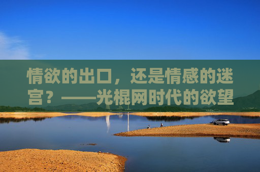 情欲的出口，还是情感的迷宫？——光棍网时代的欲望与孤独，光棍网时代，欲望的出口与情感的迷宫