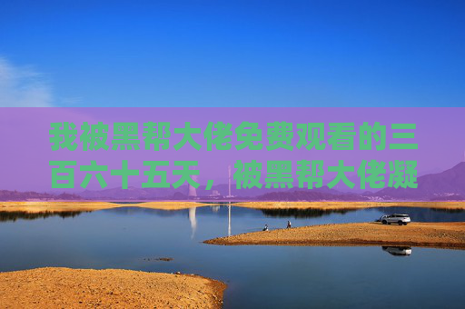 我被黑帮大佬免费观看的三百六十五天,被黑帮大佬凝视的365天 我被黑帮大佬免费观看的三百六十五天,被黑帮大佬凝视的365天