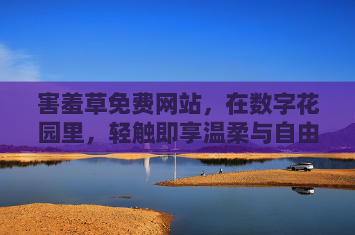 害羞草免费网站,在数字花园里,轻触即享温柔与自由,数字花园害羞草,免费轻触温柔与自由 害羞草免费网站,在数字花园里,轻触即享温柔与自由,数字花园害羞草,免费轻触温柔与自由