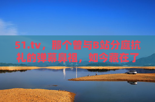 51.tv，那个曾与B站分庭抗礼的弹幕鼻祖，如今藏在了谁的青春里？弹幕鼻祖51.tv，分庭抗礼B站的青春印记
