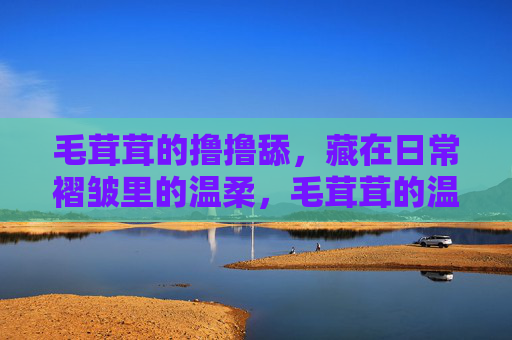 毛茸茸的撸撸舔,藏在日常褶皱里的温柔,毛茸茸的温柔,藏在日常褶皱里 毛茸茸的撸撸舔,藏在日常褶皱里的温柔,毛茸茸的温柔,藏在日常褶皱里