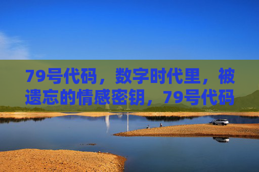 79号代码,数字时代里,被遗忘的情感密钥,79号代码,数字时代被遗忘的情感密钥 79号代码,数字时代里,被遗忘的情感密钥,79号代码,数字时代被遗忘的情感密钥