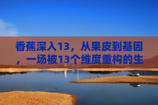 香蕉深入13,从果皮到基因,一场被13个维度重构的生命叙事,13维度重构香蕉,从果皮到基因的生命叙事 香蕉深入13,从果皮到基因,一场被13个维度重构的生命叙事,13维度重构香蕉,从果皮到基因的生命叙事